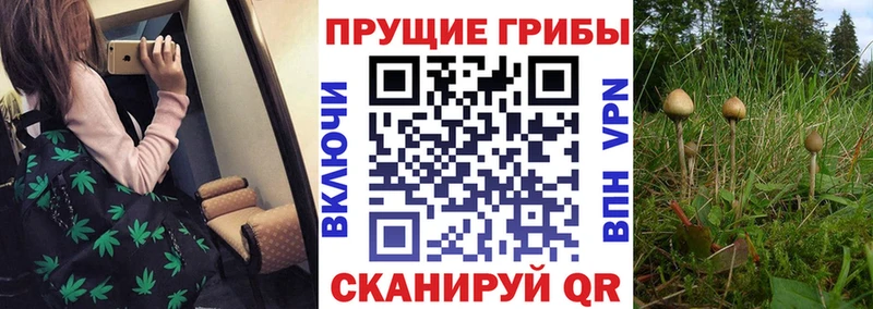 ОМГ ОМГ рабочий сайт  Ухта  Псилоцибиновые грибы мицелий 